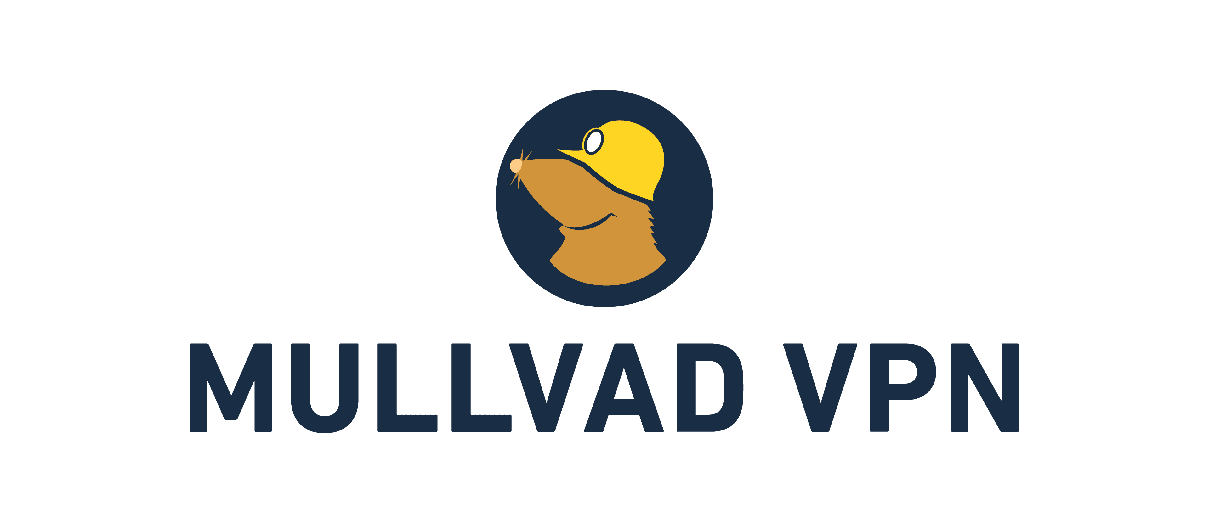 Mullvad VPN im Test – Foto ProduktBewertet